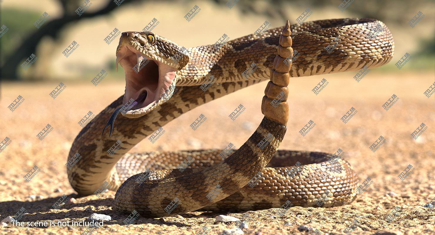 images/goods_img/202104093/Light Rattlesnake Attack Pose 3D/5.jpg